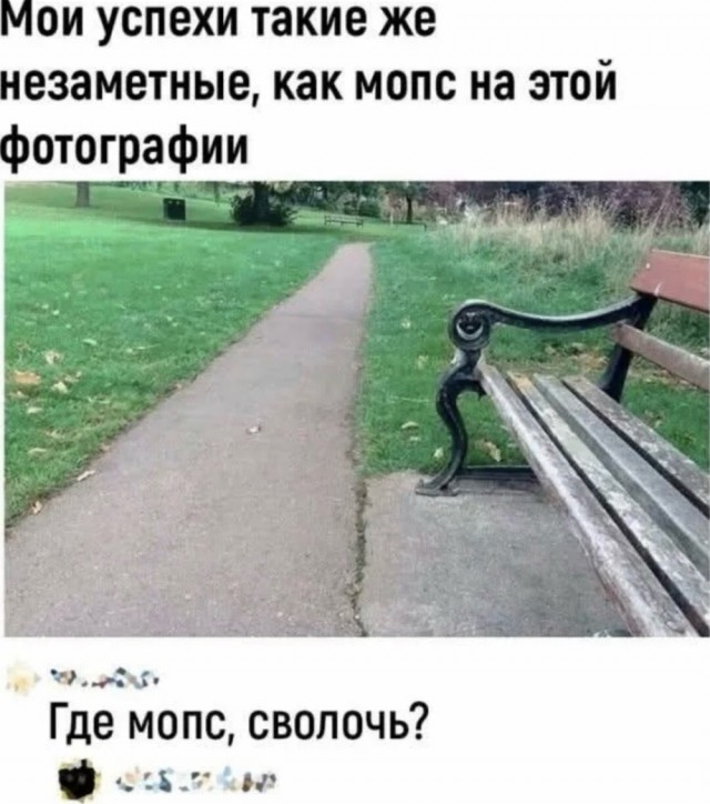 20615304.jpg