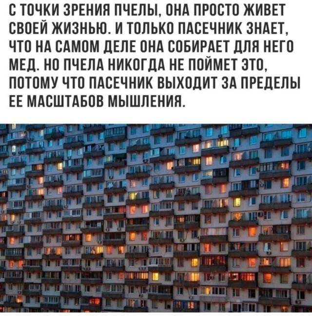 20198181.jpg