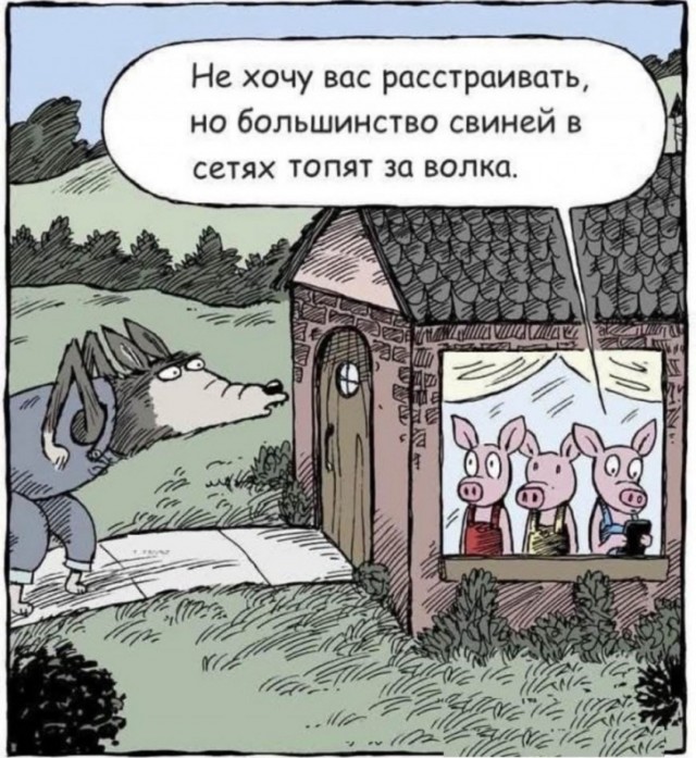 20127277.jpg