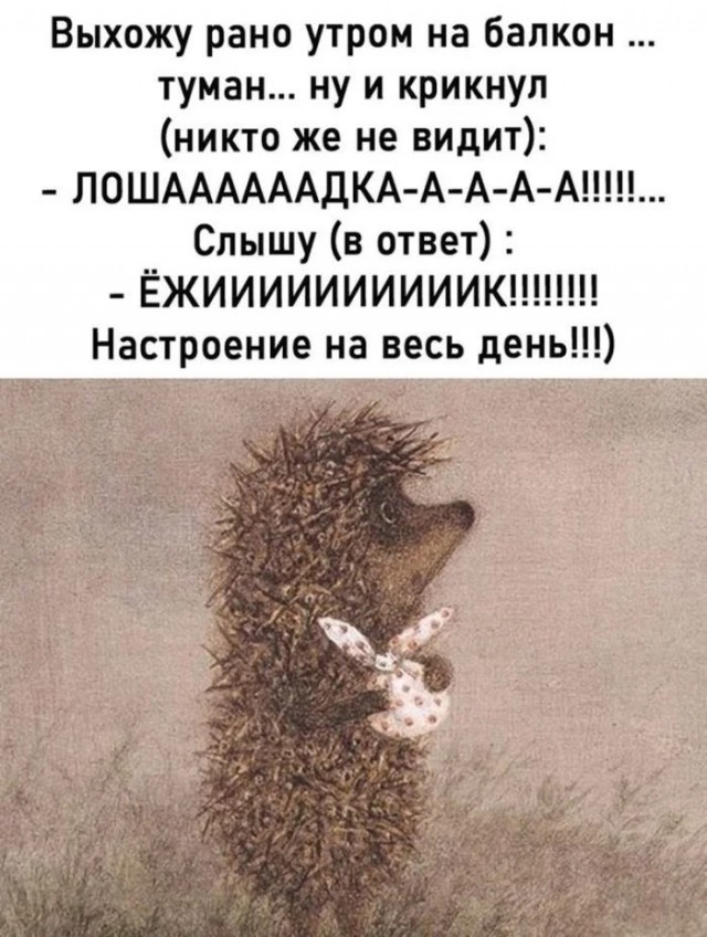 20150975.jpg